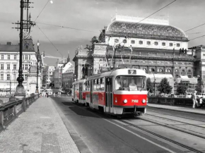Ground Floor Apartment, Prague